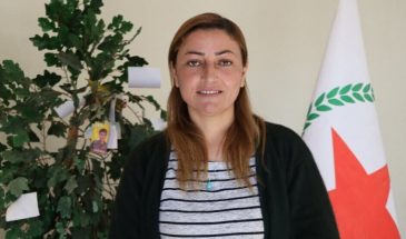 Беритан Исмаил: права курдов должны быть закреплены в Конституции Сирии