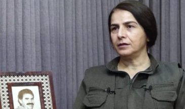 Чигдем Догу: при постоянной борьбе и несгибаемой воле «специальная война» терпит поражение