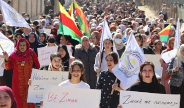 На митингах в Рожаве потребовали конституционного признания курдского языка