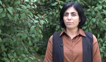 Пейман Виан: единство партий и ведущая роль женщин в борьбе