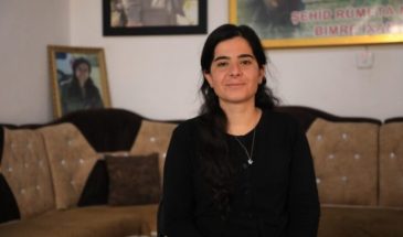 Сухам Шенгали: укрепите руку лидера Абдуллы Оджалана и преградите путь новым заговорам