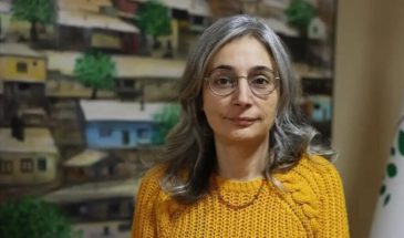 Арслан: общественность ожидает четких шагов, а не обещаний