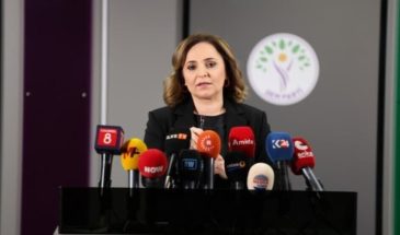 Доган: у Оджалана должны быть адекватные условия работы