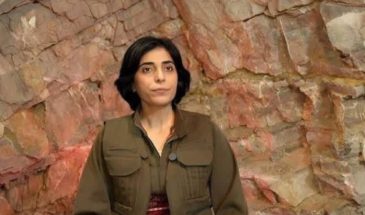 Пейман Виан: режим в Иране должен измениться или рухнет