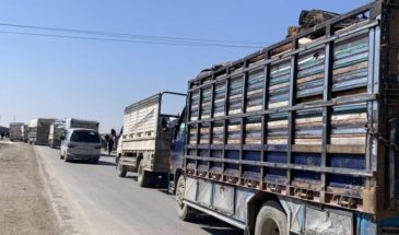 Первая колонна беженцев из Африна начала возвращение домой