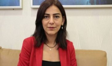 Сезин Учар: банды используются как инструмент политики в курдских районах