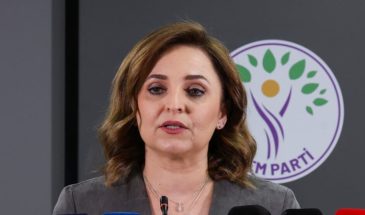 Айшегюль Доган: без шагов мирный процесс не продвинется