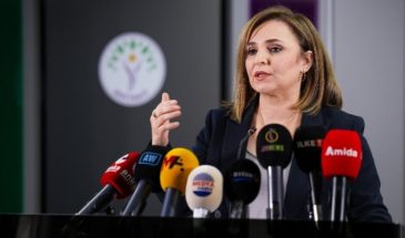 Айшегюль Доган: задача комиссии — определить правовую основу