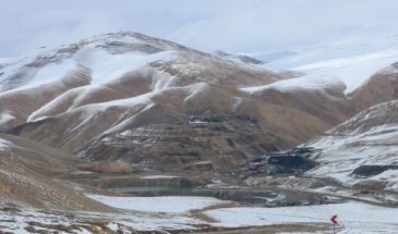 Экологическая катастрофа в Нордизе: живая природа региона под угрозой