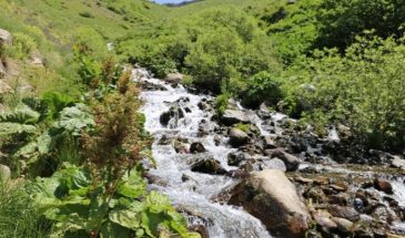 Горы Кох и Шерефдин открыты ради извлечения прибыли?