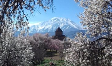 Остров Акдамар окрасился в цвета весны