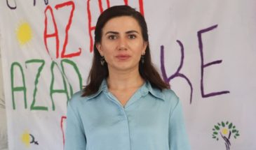 Сюмая Боз: затягивание процесса подрывает доверие и требует срочных шагов