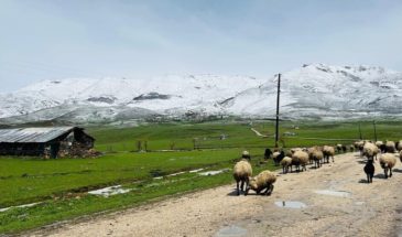 Сопротивление повторному изгнанию: защитить воду и землю