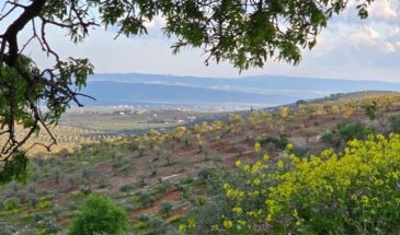 Весна в Африне глазами вернувшегося юноши