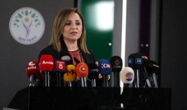 Айшегюль Доган: мы стоим на стороне закона, справедливости и демократии