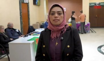 Ферназ Аттиа: бездействие Анкары препятствует продвижению мирного процесса