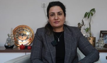 Севда Озбингёль: процессу нужен координационный механизм