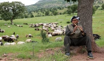 Алираш: древняя деревня в Бинаре Кандиль