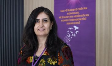 Гулистан Орхан: провластные назначенцы должны уйти, чтобы избранные со-мэры вернулись