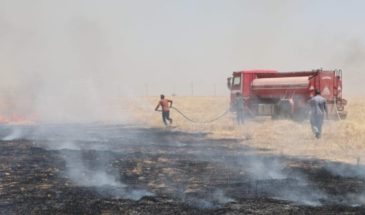 На склонах горы Шенгал разгорается пожар