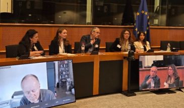 Независимая миссия по мирному процессу в Турции представила отчет в ЕП