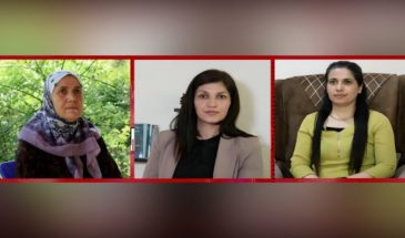 Правозащитники: мир невозможен без реализации права на надежду для Оджалана