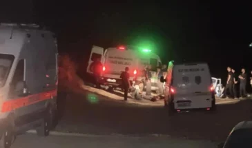 В ходе вооруженных нападений в Адане за 24 часа погибли 6 человек, включая 3 женщин