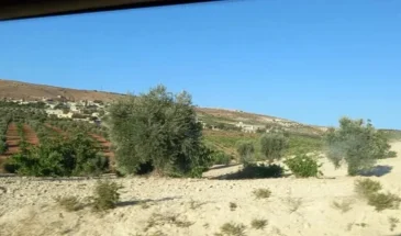 Землевладельцев в Африне вынуждают платить дань
