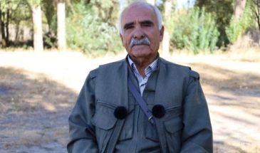 Дилавер Аныг: согласно «рамочному закону» должны освободить политических заключённых