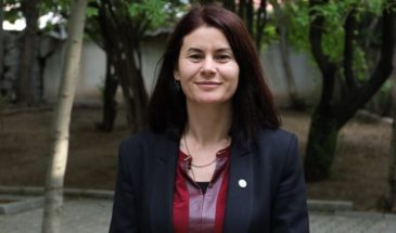 Гюльджан Сайигит: условия работы Абдуллы Оджалана важны для продвижения мирного процесса