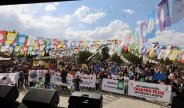 Жители Диядина протестуют против золотодобычи: «Убивать природу — значит убивать жизнь»