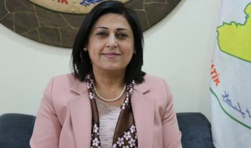 Амина Омар: указ № 13 важен, но права курдов необходимо закрепить в конституции Сирии