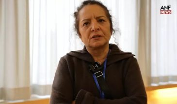 Назан Устюндаг: демократическая интеграция не означает растворения общества в структуре государства