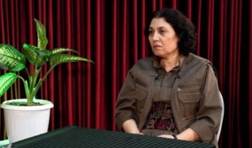 Эвиндар Арарат: без свободы Абдуллы Оджалана невозможно продвижение мирного процесса